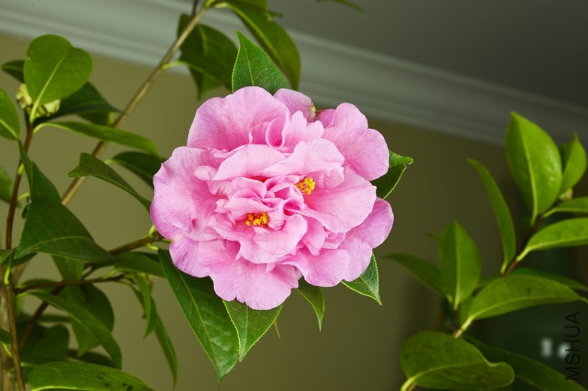 _DSC8570_edited-1.jpg