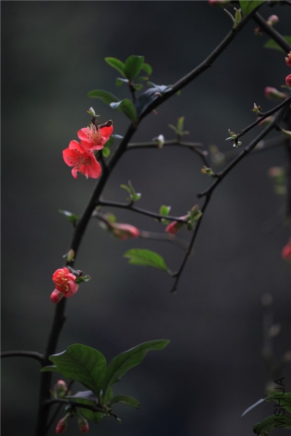 �������������  (11).JPG