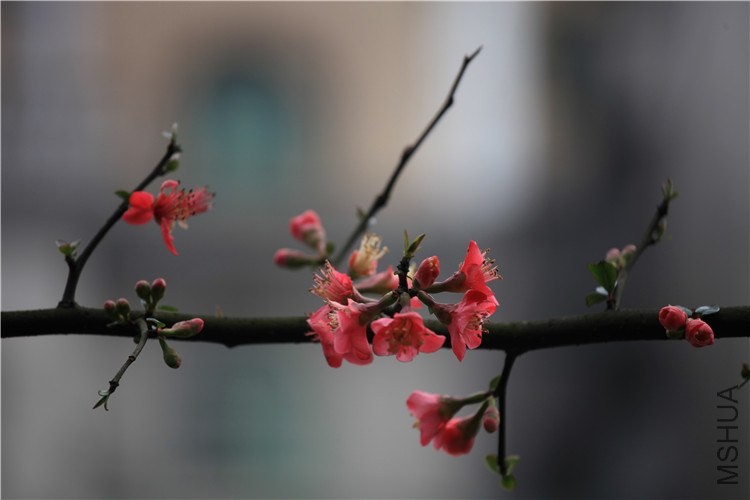 �������������  (12).JPG