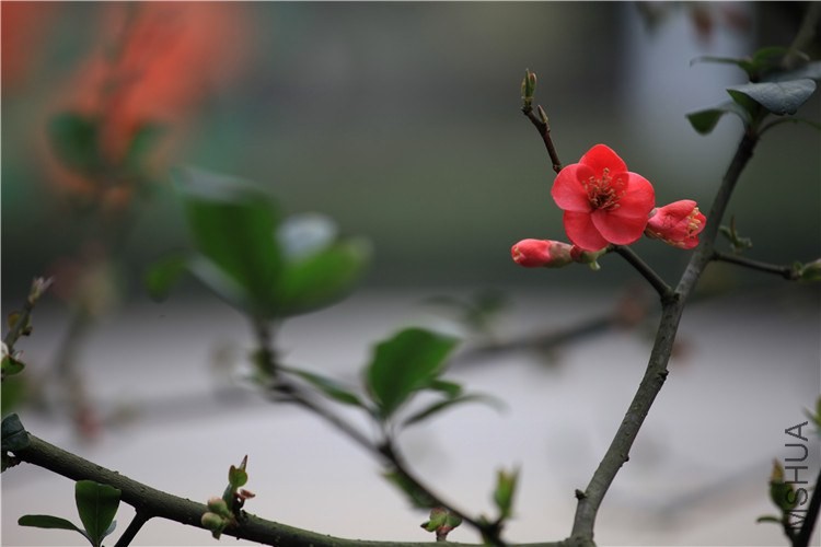 �������������  (13).JPG