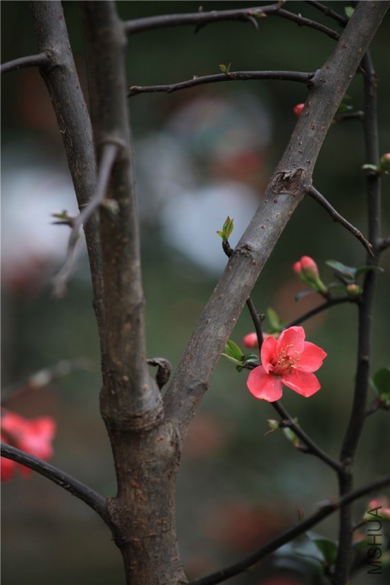 �������������  (15).JPG