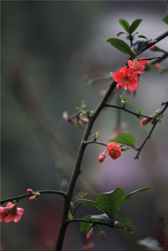 �������������  (18).JPG