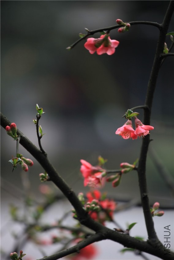 �������������  (19).JPG