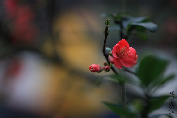 �������������  (20).JPG