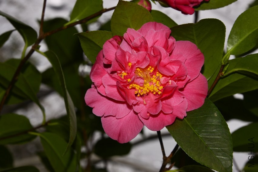_DSC8575_edited-1.jpg
