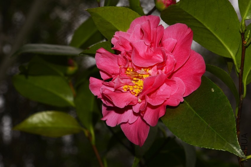 _DSC8576_edited-1.jpg