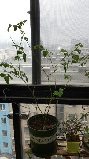 20131017_070851.jpg