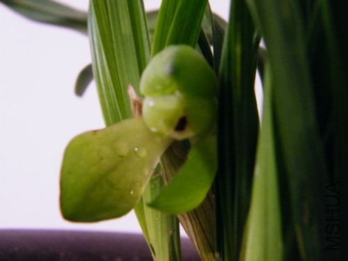 һ��������¶�˵�ɫ