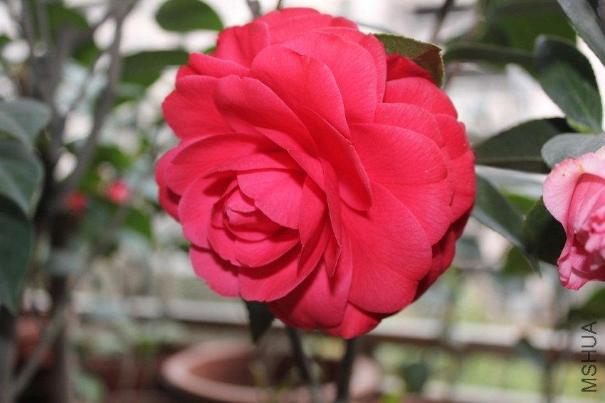 ���ֳ���.jpg