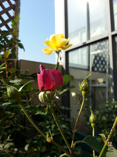 20131130_125906.jpg