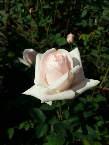 20131117_095547.jpg