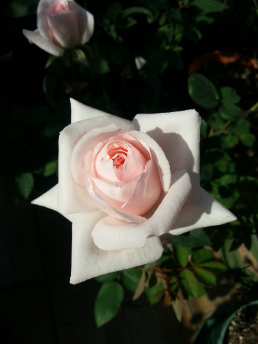 20131117_095554.jpg
