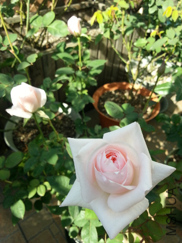 20131117_095852.jpg