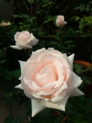 20131121_110419.jpg
