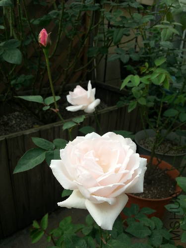 20131123_142538.jpg