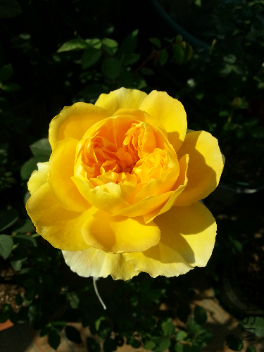 20131130_125702.jpg