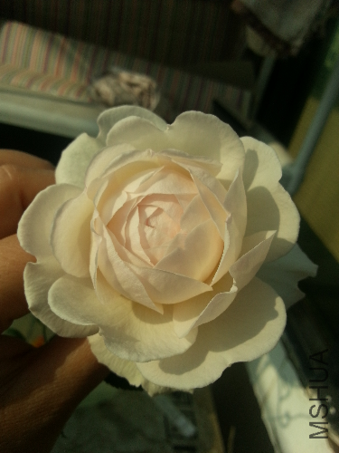 20131218_095420.jpg