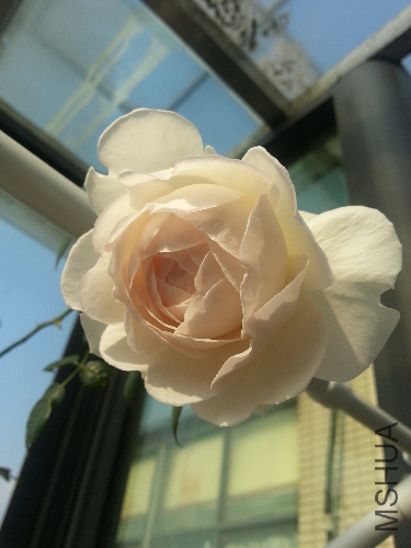 20131218_095252.jpg