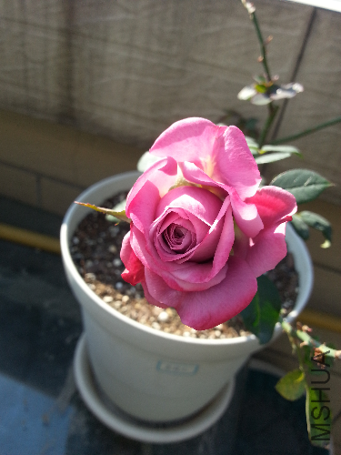 20131130_125720.jpg