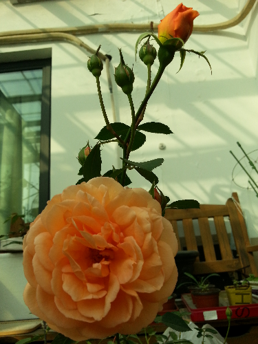 20131203_130744.jpg