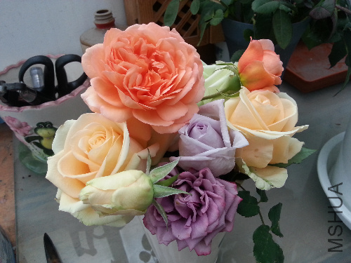 20131215_144624.jpg