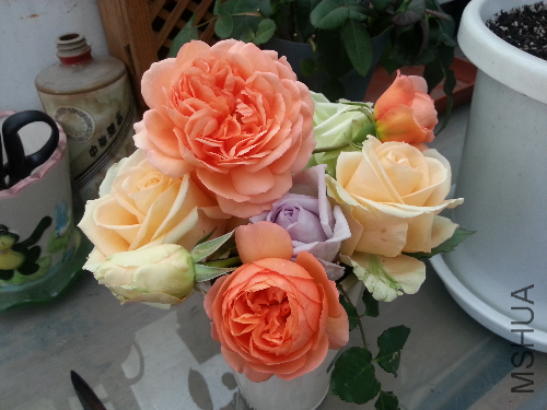 20131215_144832.jpg
