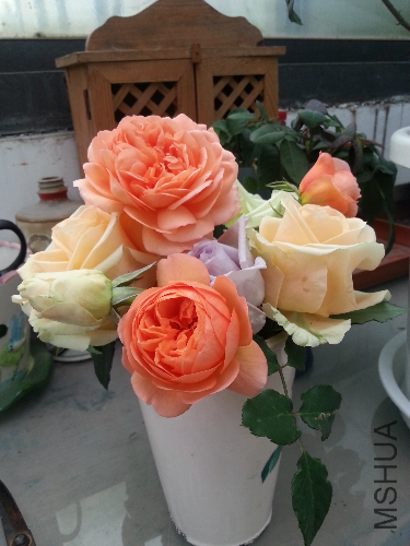 20131215_144819.jpg