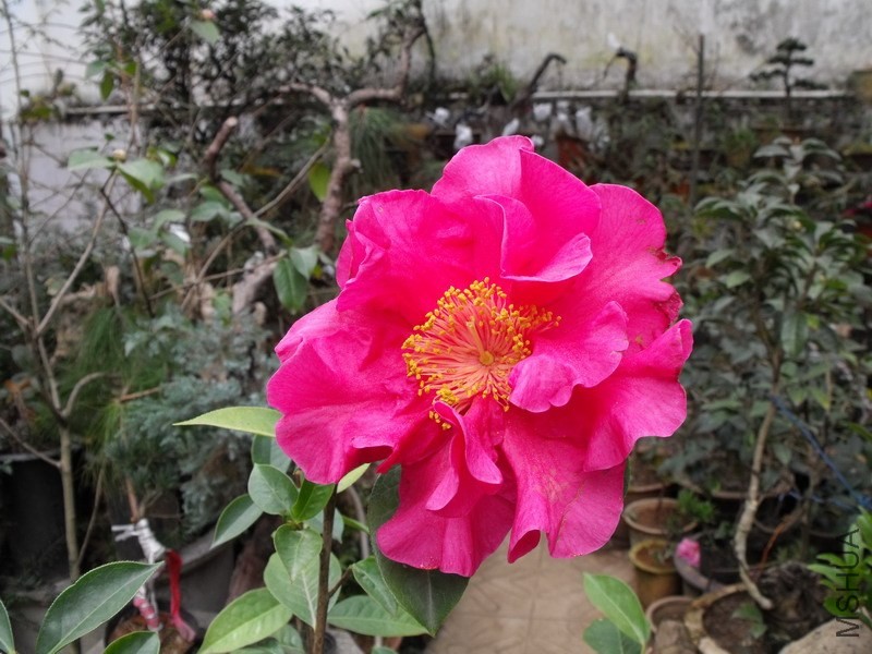 DSCF3151.JPG