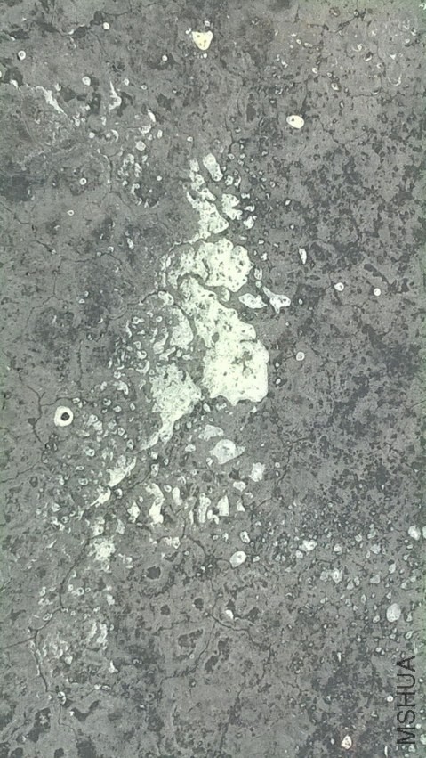 QQͼƬ20140217220752.jpg