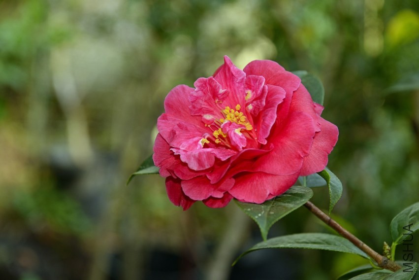 _DSC8608_edited-3.jpg