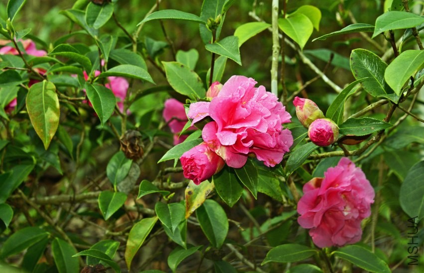 _DSC8610_edited-1.jpg