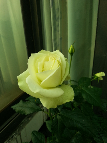 20131204_121754.jpg