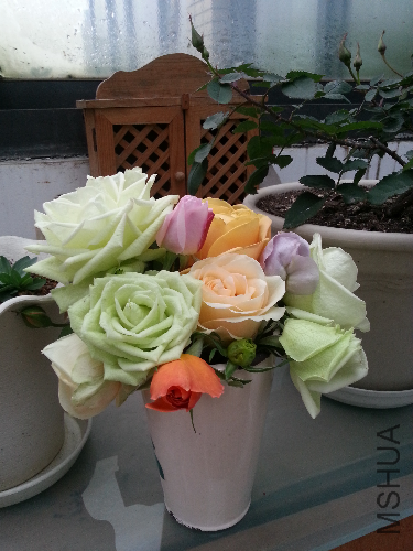 20140111_151039.jpg