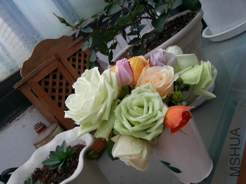 20140111_151144.jpg