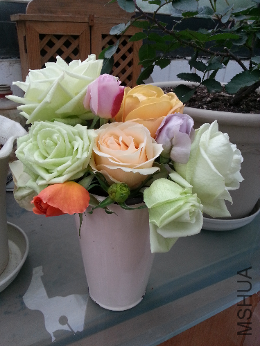 20140111_151207.jpg
