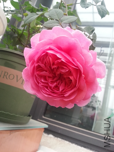 20131226_090759.jpg