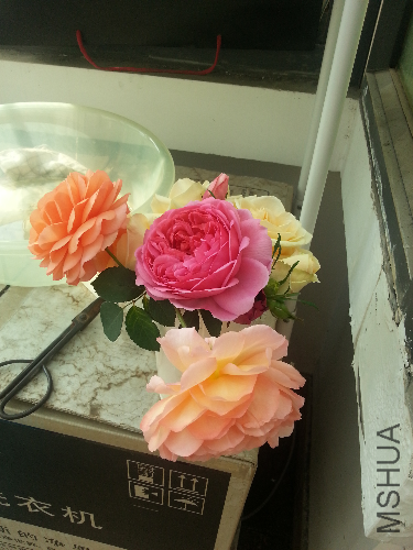 20131228_124827.jpg