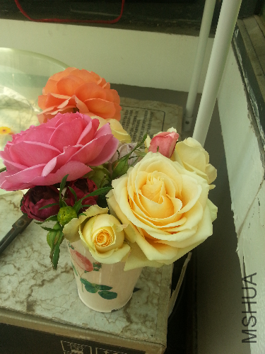 20131228_124837.jpg