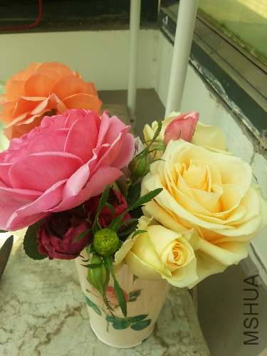 20131228_124903.jpg