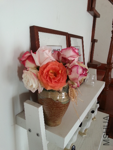 20131203_131947.jpg