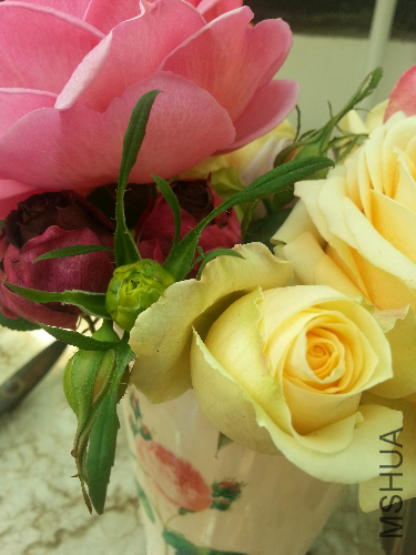 20131228_124956.jpg