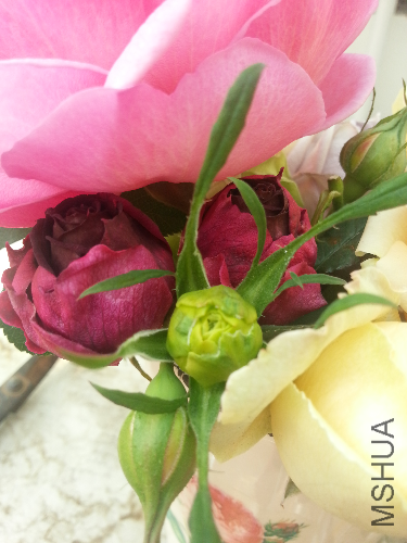 20131228_125027.jpg