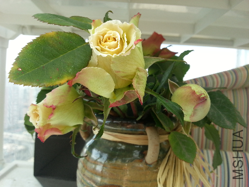 20140124_120047.jpg