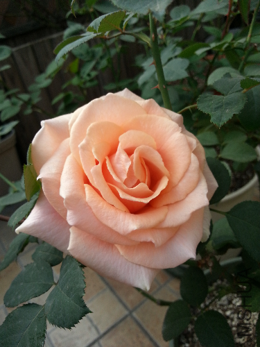 20131123_142052.jpg