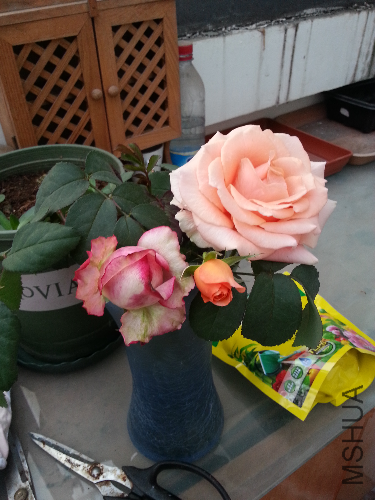 20131123_164039.jpg