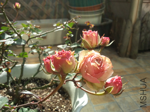20140124_115839.jpg