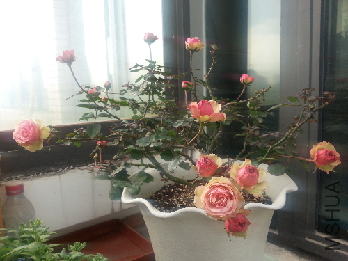 20140210_133102.jpg