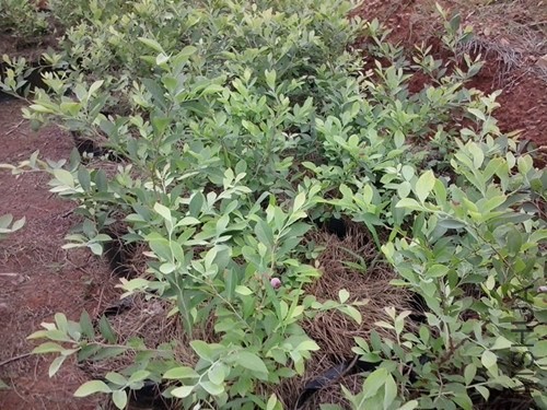 2013-06-26 13.30.21(1)_����.jpg