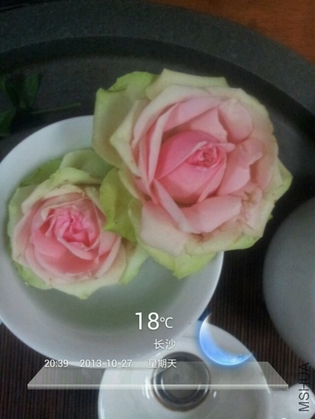 QQͼƬ20140218170638.jpg