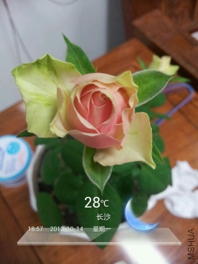 QQͼƬ20140218170646.jpg